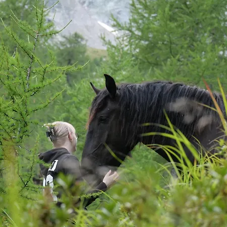 Apartamento Feistritzer-holdernig Malta