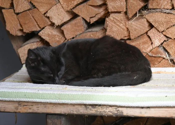 Apartamento Feistritzer-holdernig *