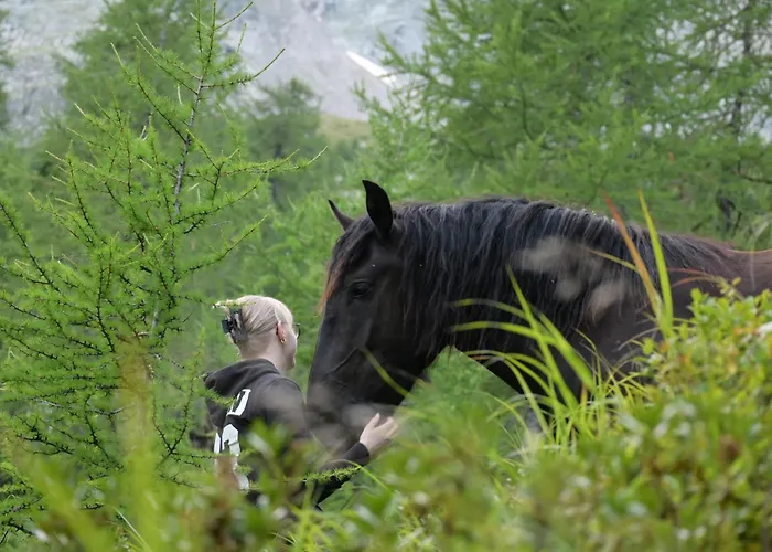 Apartament Feistritzer-holdernig Malta