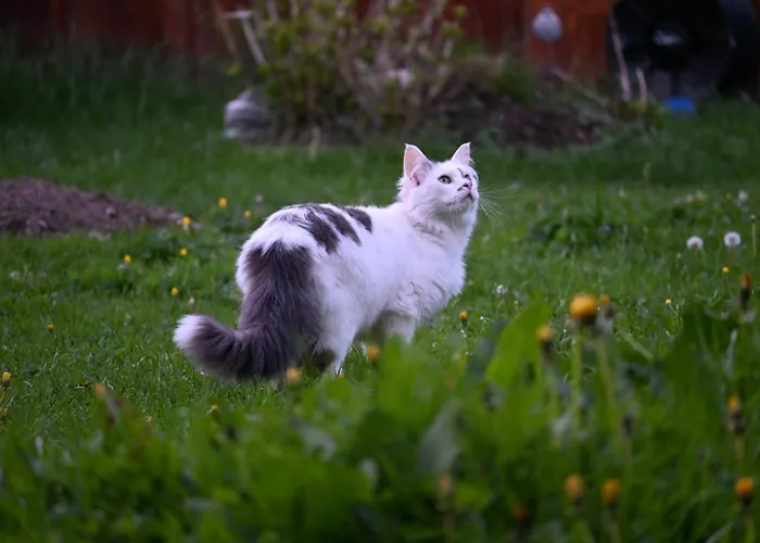 Feistritzer-holdernig Apartamento